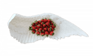 Asa Wing Wright Seletti png e1627037440198